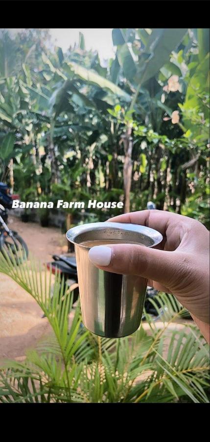 Banana Farm House 亨比 外观 照片