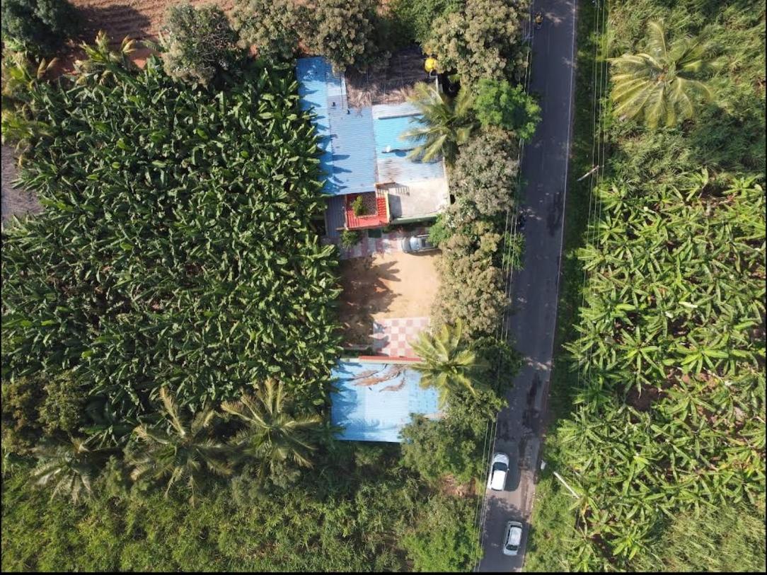 Banana Farm House 亨比 外观 照片