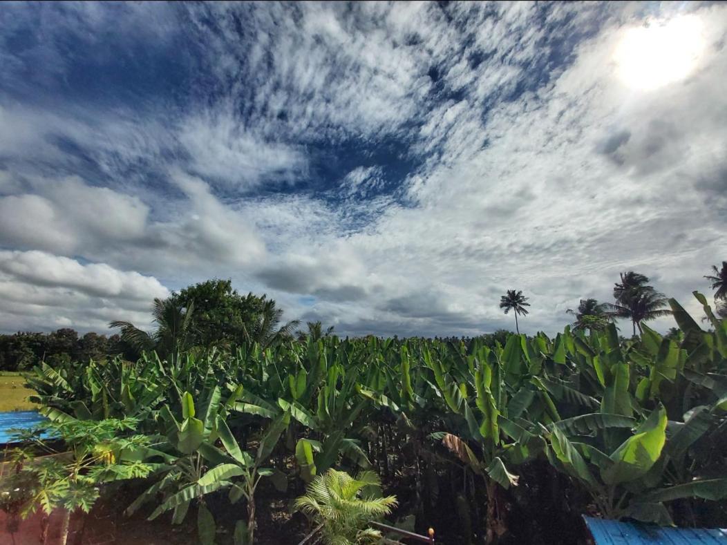Banana Farm House 亨比 外观 照片