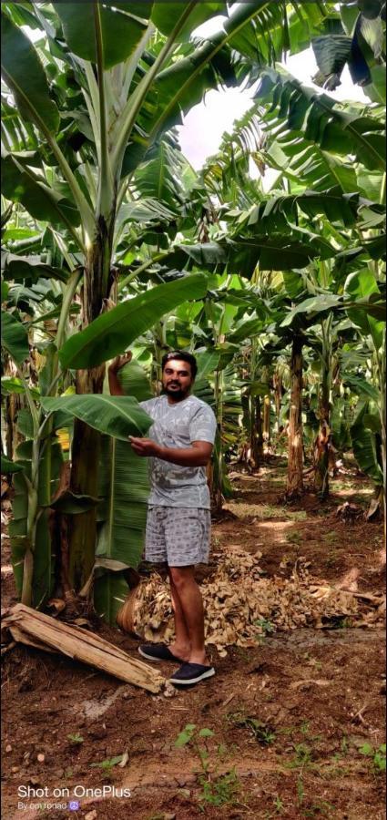 Banana Farm House 亨比 外观 照片